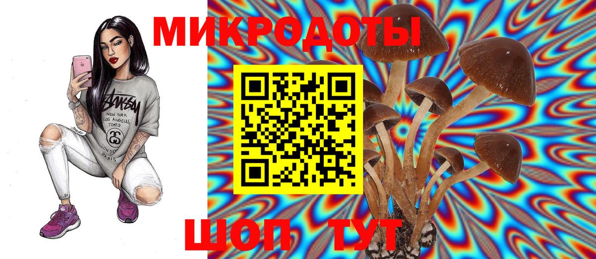 Псилоцибиновые грибы ЛСД  Вход с VPN  Тамбов  Галлюциногенные грибы GOLDEN TEACHER 